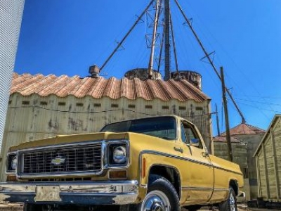 1973 Chevrolet C20 for sale
