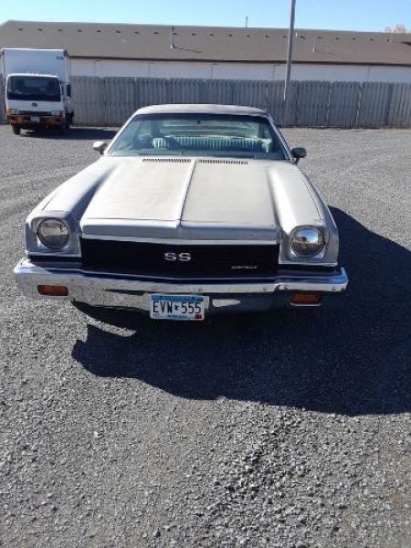 1973 Chevrolet Malibu for sale in Michigan (ID-84169)