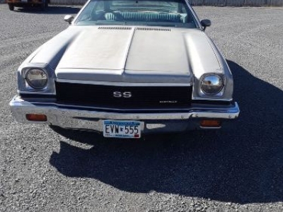 1973 Chevrolet Malibu for sale