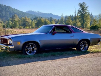 1973 Chevrolet Chevelle for sale