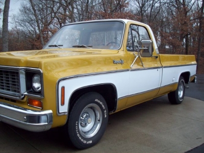 1973 Chevrolet Cheyenne for sale
