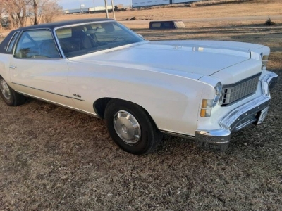 1973 Chevrolet Monte Carlo for sale