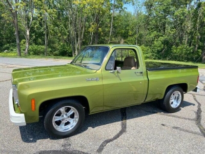 1973 Chevrolet C10 for sale