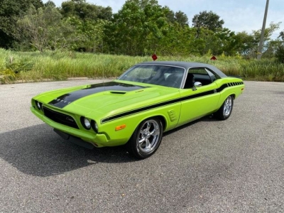 1973 Dodge Challenger for sale