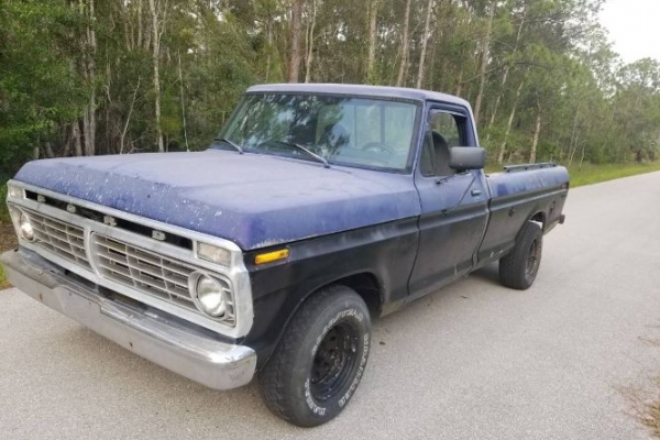 1973 Ford F150 for sale