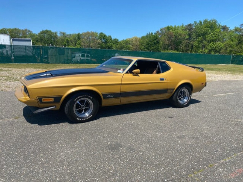 1973 Ford Mustang for sale in Riverhead, New York (ID-79914)