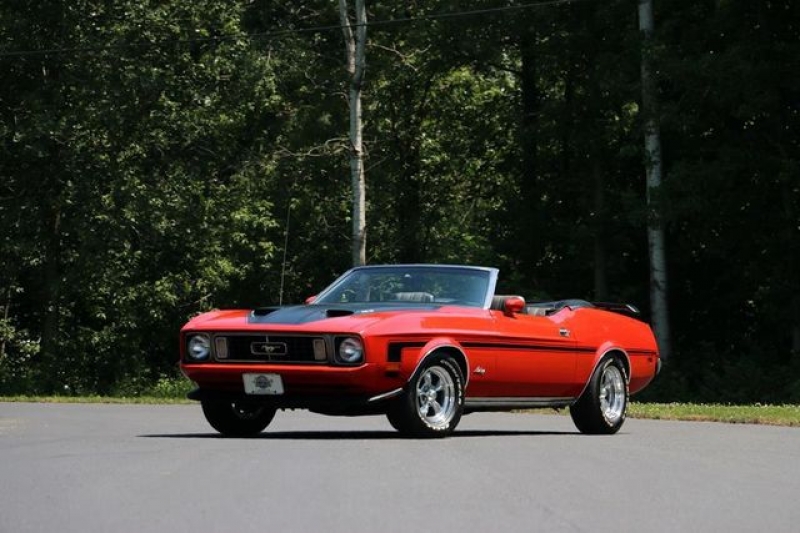 1973 Ford Mustang for sale in Riverhead, New York (ID-81248)