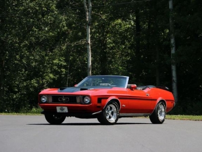 1973 Ford Mustang for sale