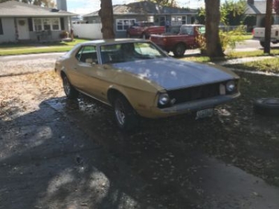 1973 Ford Mustang for sale