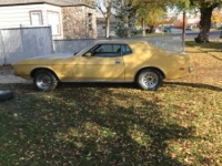 1973 Ford Mustang for sale in Michigan (ID-93549)