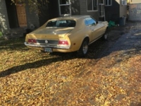 1973 Ford Mustang for sale in Michigan (ID-93549)