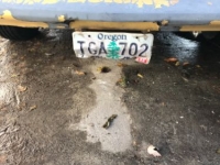 1973 Ford Mustang for sale in Michigan (ID-93549)