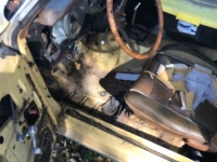1973 Ford Mustang for sale in Michigan (ID-93549)