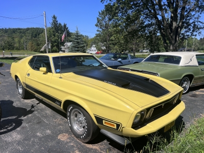 1973 Ford Mustang Mach 1 for sale