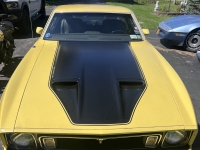 1973 Ford Mustang Mach 1 for sale in Buffalo, New York (ID-143100)