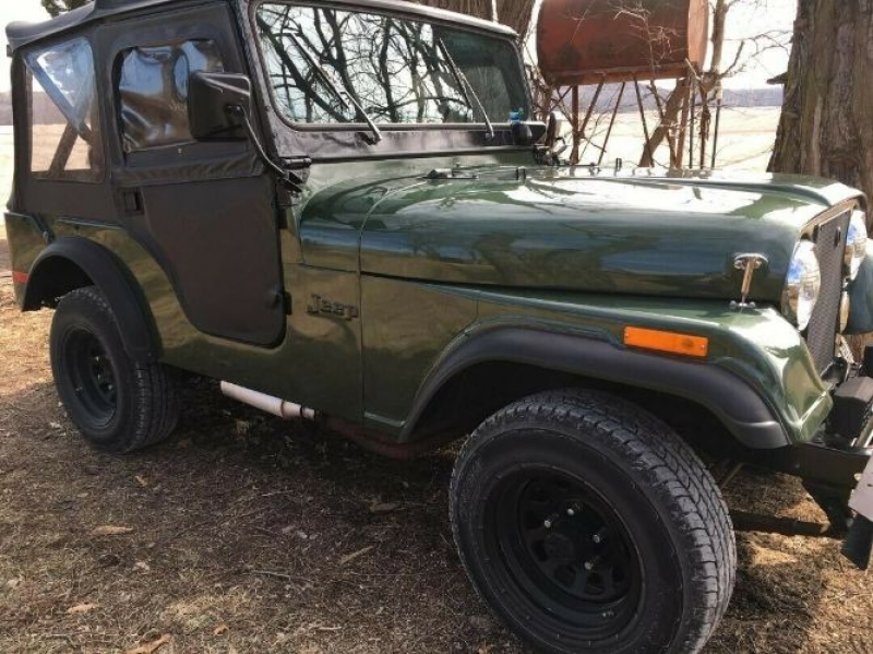1973 Jeep CJ for sale in Michigan (ID-80817)