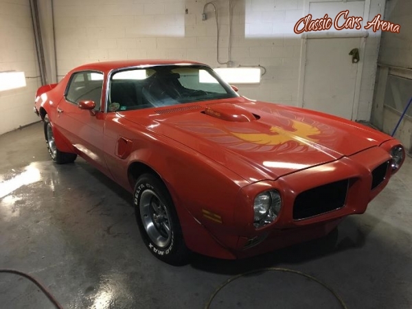 1973 Pontiac Trans Am for sale in Michigan (ID-4559)