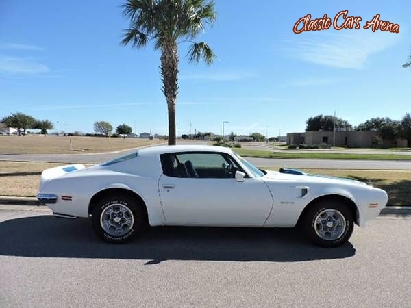 1973 Pontiac Trans Am for sale in Michigan (ID-30331)