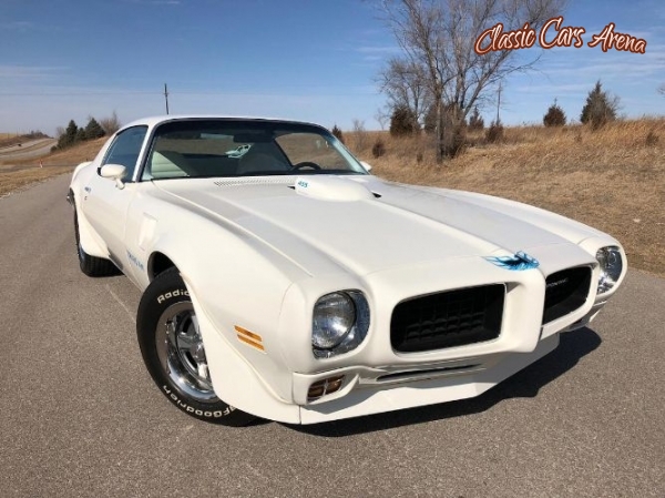1973 Pontiac Firebird for sale in Michigan (ID-35439)