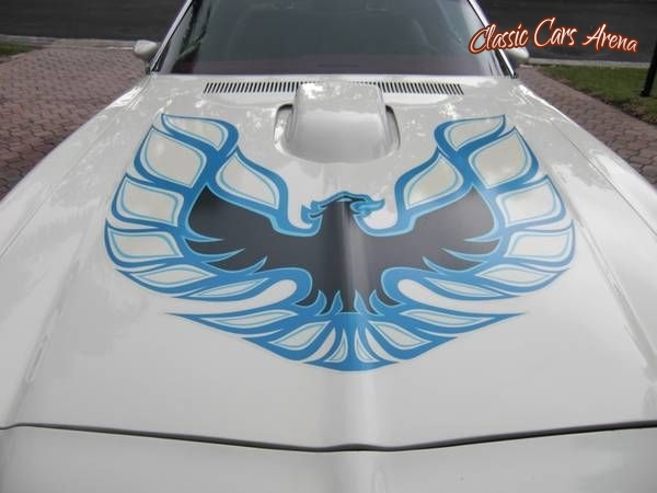 1973 Pontiac Trans Am for sale in Michigan (ID-45686)