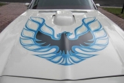 1973 Pontiac Trans Am for sale