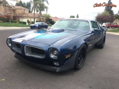 1973 Pontiac Firebird for sale