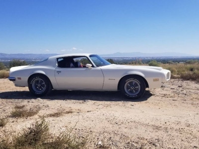 1973 Pontiac Firebird for sale