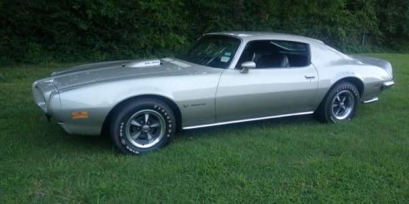 1973 Pontiac Firebird for sale in Michigan (ID-80728)