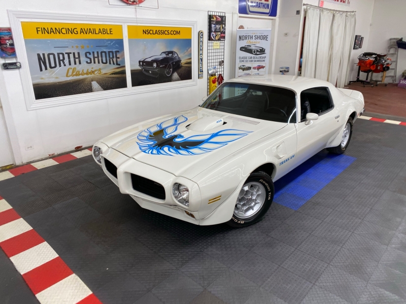 1973 Pontiac Trans Am for sale in Mundelein, Illinois (ID-82185)