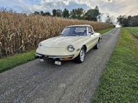 1973 Alfa Romeo Spider for sale in Michigan (ID-122468)