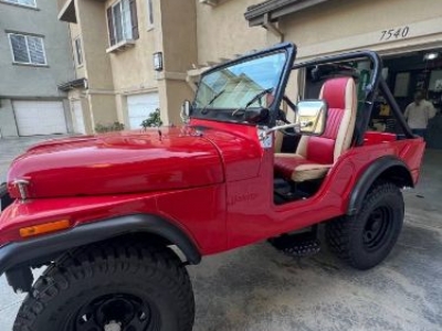 1973 AMC Jeep for sale
