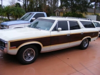 1973 AMC Matador for sale in Michigan (ID-124000)