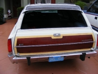 1973 AMC Matador for sale in Michigan (ID-124000)