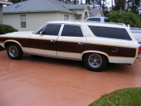 1973 AMC Matador for sale in Michigan (ID-124000)
