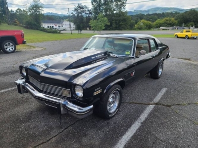 1973 Buick Apollo for sale