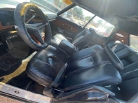 1973 Buick Electra 225 for sale in Michigan (ID-124912)