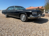 1973 Buick Electra 225 for sale in Michigan (ID-131229)