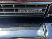 1973 Buick Electra 225 for sale in Michigan (ID-134804)