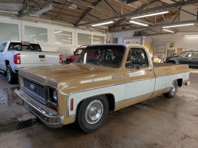 1973 Chevrolet C-series for sale