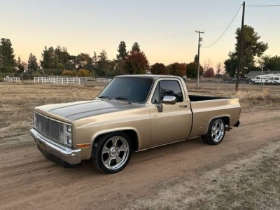 1973 Chevrolet C10 for sale