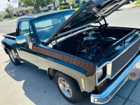 1973 Chevrolet C10 for sale in Michigan (ID-115820)