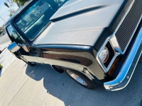1973 Chevrolet C10 for sale in Michigan (ID-115820)