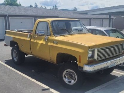1973 Chevrolet C10 for sale