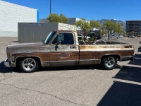 1973 Chevrolet C10 for sale in Michigan (ID-145314)