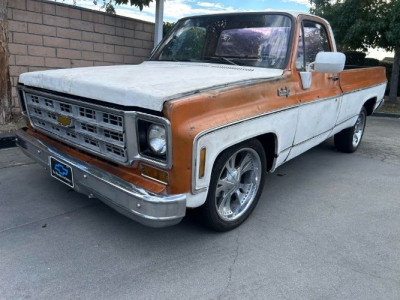 1973 Chevrolet C10 for sale