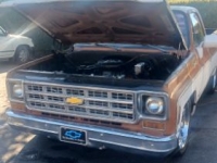 1973 Chevrolet C10 for sale in Michigan (ID-155333)