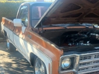 1973 Chevrolet C10 for sale in Michigan (ID-155333)