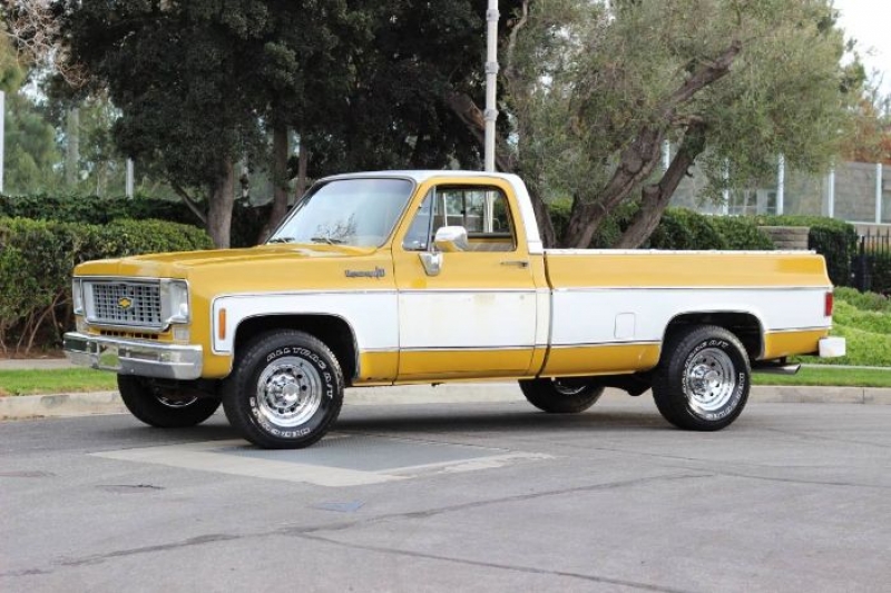 1973 Chevrolet C20 for sale in Michigan (ID-95983)