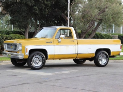 1973 Chevrolet C20 for sale