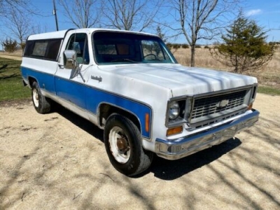 1973 Chevrolet C20 for sale